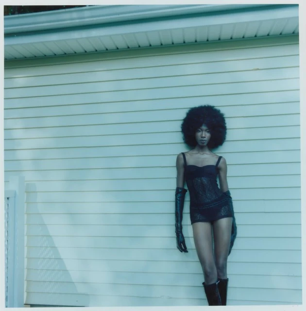 Portrait of a Chosen Family