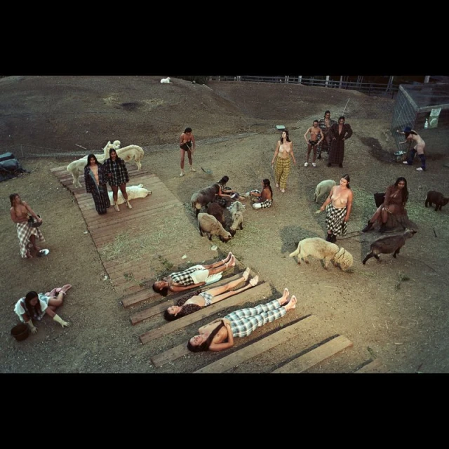 Six months after the end of the world