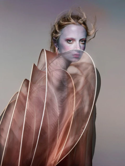 The Fairest of Them All