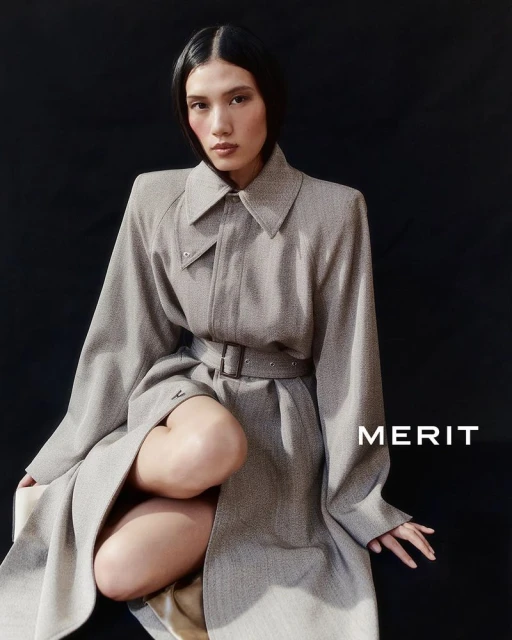 MERIT Winter 2025