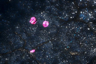 Echoes of self - for Vakuum Magazine