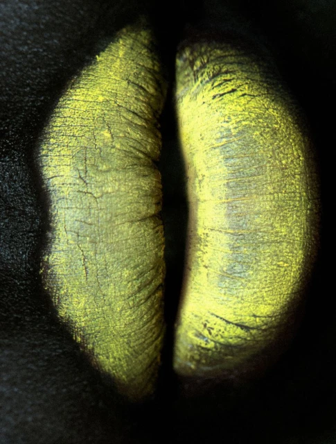 Beauties by Xavi Gordo