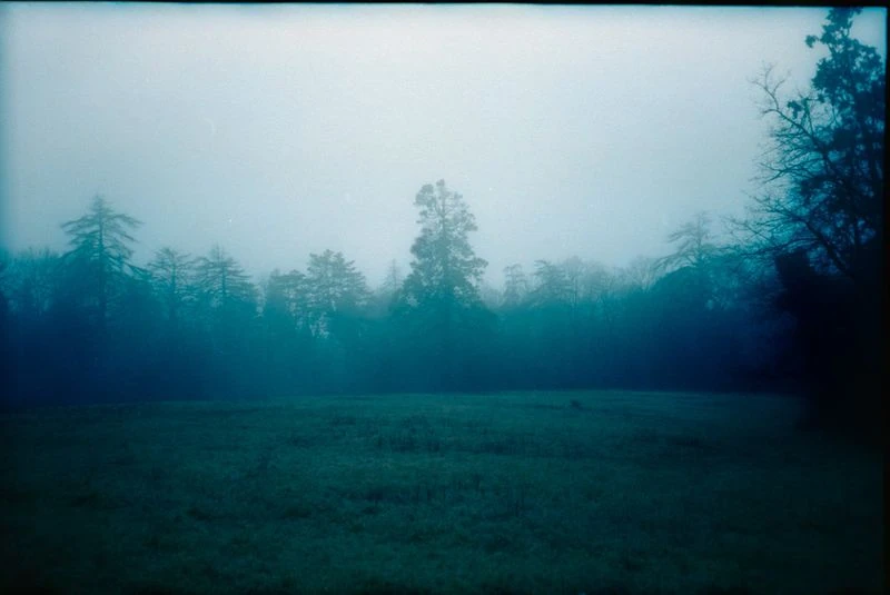 Echoes of Perception