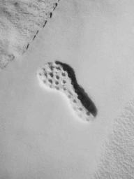 210522_SL_SalomonBlackEdition