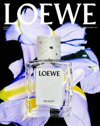 Loewe Perfumes 2025 Still Life Campaign