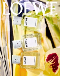 Loewe Perfumes 2025 Still Life Campaign