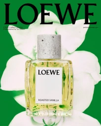 Loewe Perfumes 2025 Still Life Campaign