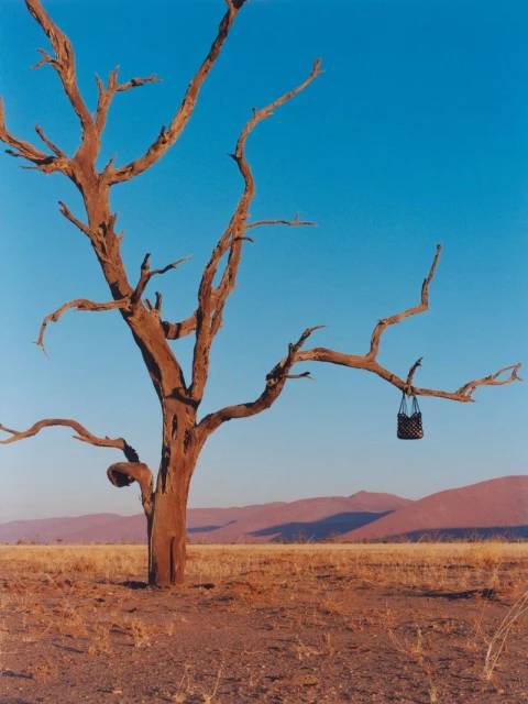 The Geometry of Quiet - Polene in Namibia