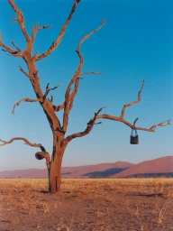 The Geometry of Quiet - Polene in Namibia