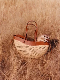 The Geometry of Quiet - Polene in Namibia