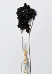 Le calendrier de l'avent