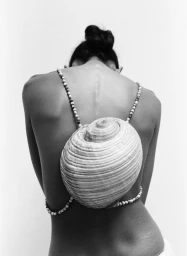 Atmos Volume 12: Pollinate