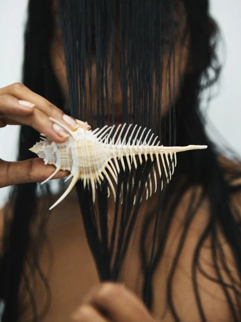 Atmos Volume 12: Pollinate