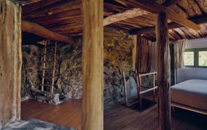 The House That Grew From The Ground