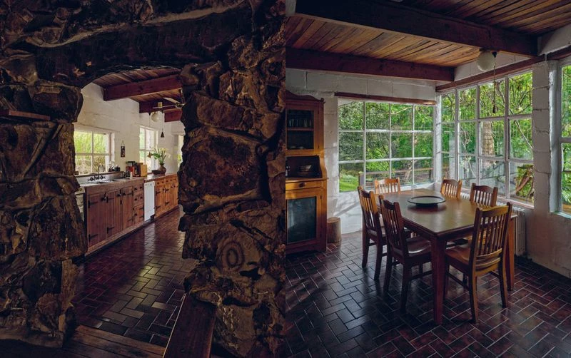 The House That Grew From The Ground