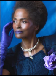 The Gilded Gaze - Karen Alexander