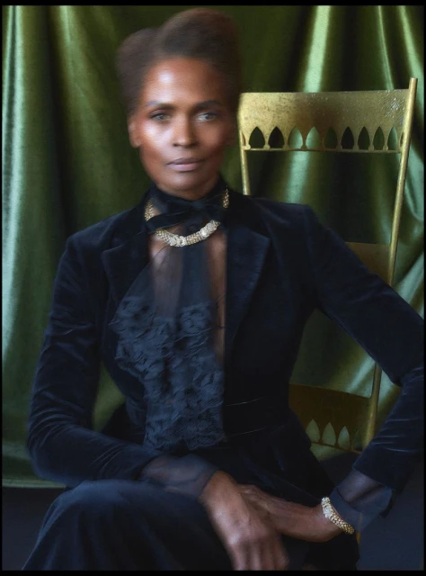 The Gilded Gaze - Karen Alexander