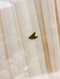 Julia Garner for PoP Magazine