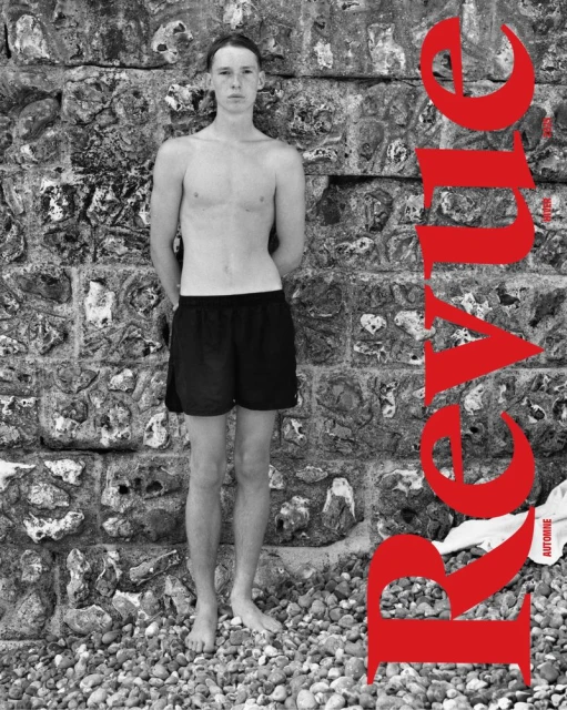 Usages Romanesques du Portrait