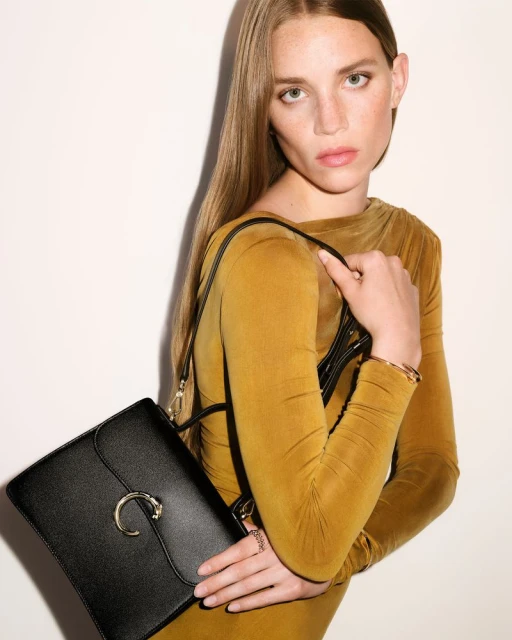 Panthère Double de Cartier Bag 2025 Campaign