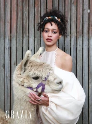 Visoka moda iz podeželja: Kjer alpake sledijo muzi