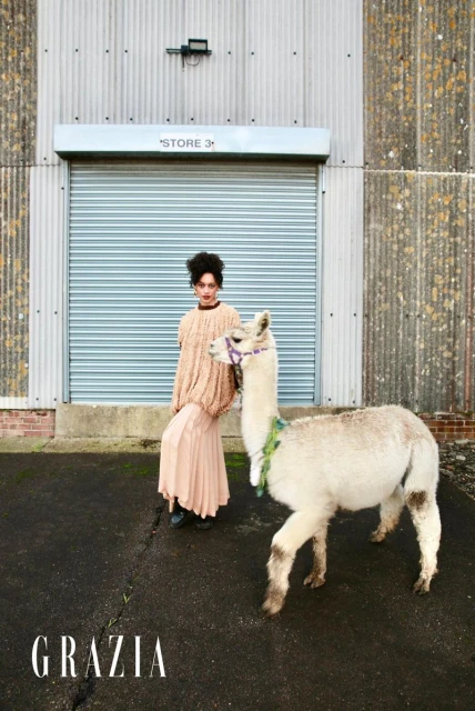 Visoka moda iz podeželja: Kjer alpake sledijo muzi