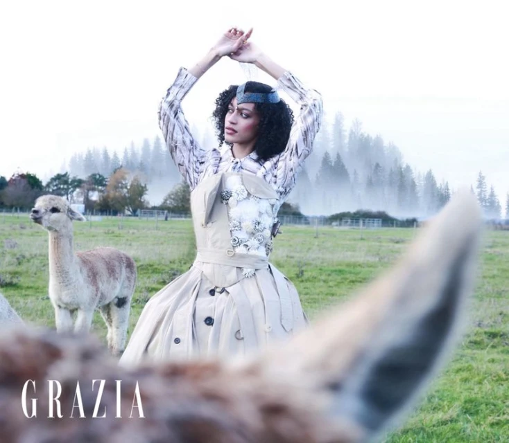 Visoka moda iz podeželja: Kjer alpake sledijo muzi