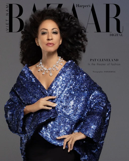 Harper's Bazaar Vietnam December 2025 Digital Covers