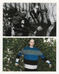 A Short story about plants