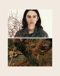 A Short story about plants