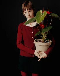 A Short story about plants