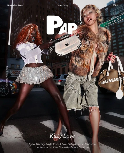 PAP Magazine November 2024 Cover by Lysa Thieffry