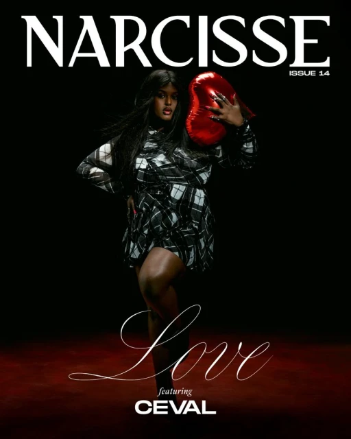Narcisse issue 14 covers