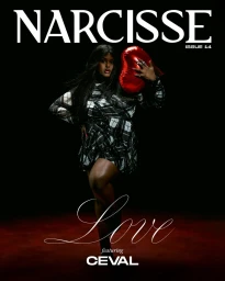 Narcisse issue 14 covers