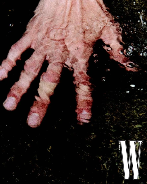 빛과 그림자의 경계에 선 가을