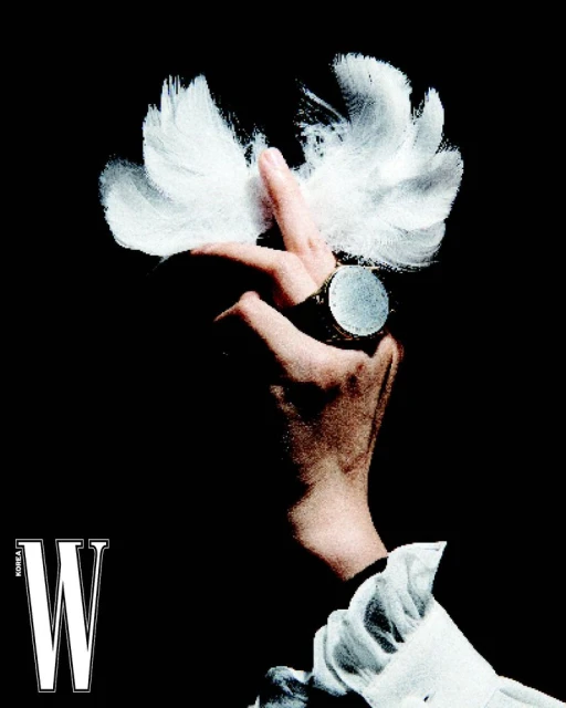 빛과 그림자의 경계에 선 가을