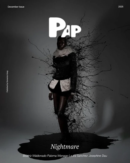 PAP Magazine December 2025 Cover