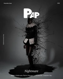 PAP Magazine December 2025 Cover