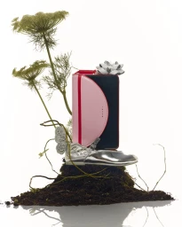 Gift Social Campaign