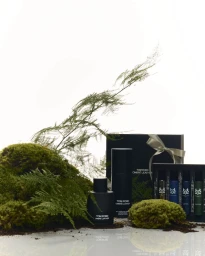 Gift Social Campaign