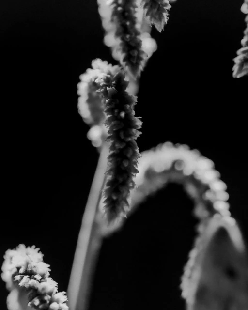 Aaron Esh A/W 24 Documented