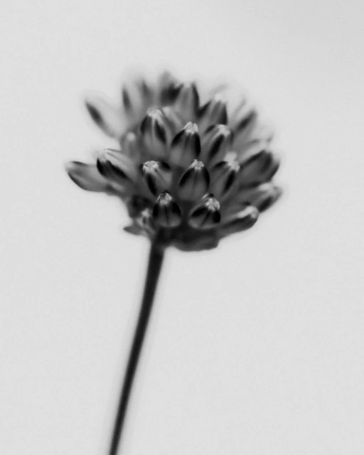 Aaron Esh A/W 24 Documented