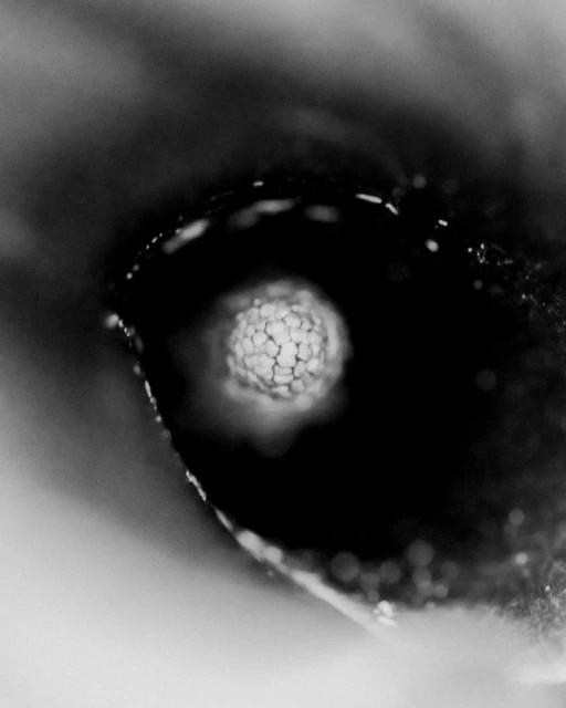 Aaron Esh A/W 24 Documented