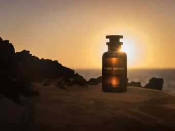 The Journey / Still Life