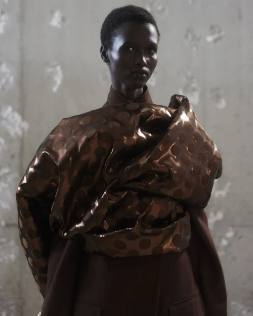 At the Dries Van Noten Women AW 24/25 show