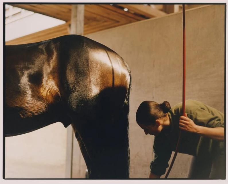 Rally The Troops | HTSI