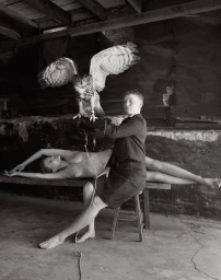 The Making of a Muse- Guinevere Van Seenus