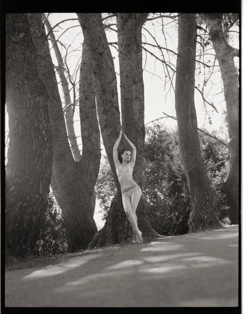 The Making of a Muse- Guinevere Van Seenus