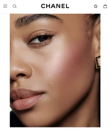 Chanel Les Beiges Poudres