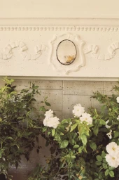 Letters from L.A. for Scenery Magazine